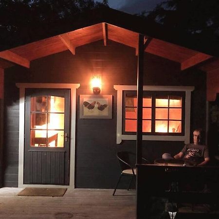 Unique Tiny House Near 3 Peaks - The Zedshed Leilighet Bentham Eksteriør bilde